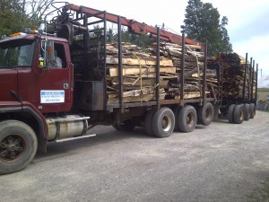 Log Truck with  Pup
